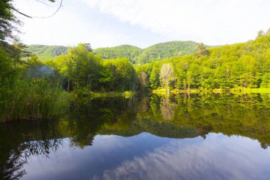 Dipsiz Yalova Gölü, Çınarcık, Yalova, Türkiye