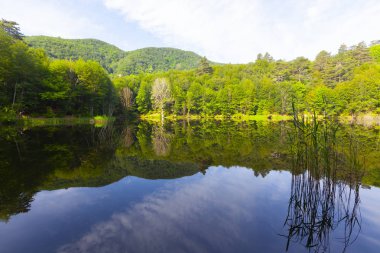Dipsiz Yalova Gölü, Çınarcık, Yalova, Türkiye