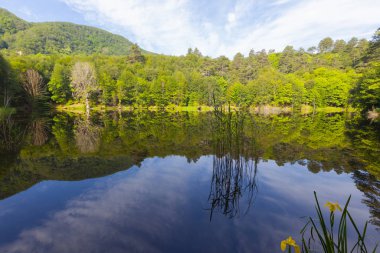 Dipsiz Yalova Gölü, Çınarcık, Yalova, Türkiye