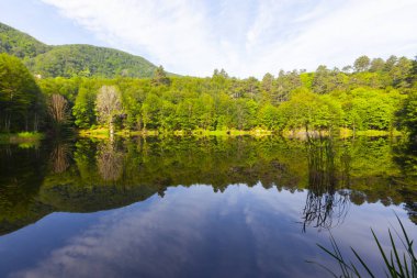 Dipsiz Yalova Gölü, Çınarcık, Yalova, Türkiye
