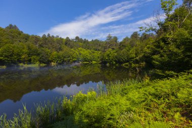Dipsiz Yalova Gölü, Çınarcık, Yalova, Türkiye