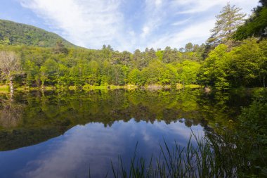 Dipsiz Yalova Gölü, Çınarcık, Yalova, Türkiye