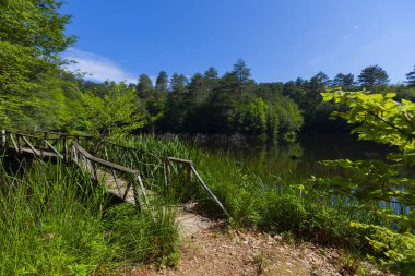 Dipsiz Yalova Gölü, Çınarcık, Yalova, Türkiye