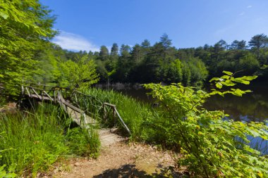 Dipsiz Yalova Gölü, Çınarcık, Yalova, Türkiye