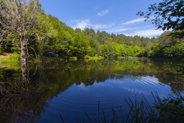 Dipsiz Yalova Gölü, Çınarcık, Yalova, Türkiye
