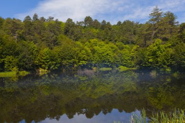 Dipsiz Yalova Gölü, Çınarcık, Yalova, Türkiye