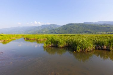 Efteni Gölü ve peyzajı / Düzce .