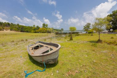 Balaban Terkos Gölü Ve Peyzaj 