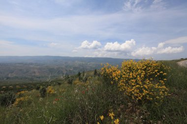 Gölyazı (Gölyaz) Bursa Türkiye