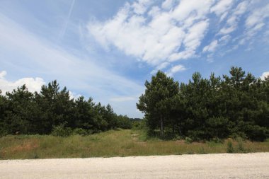 Gölyazı (Gölyaz) Bursa Türkiye