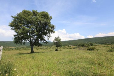 Gölyazı (Gölyaz) Bursa Türkiye