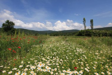 Gölyazı (Gölyaz) Bursa Türkiye