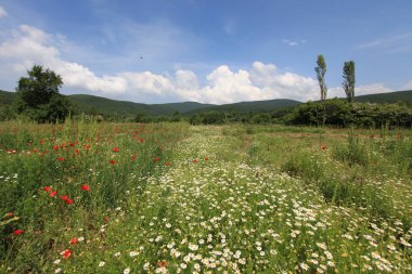 Gölyazı (Gölyaz) Bursa Türkiye
