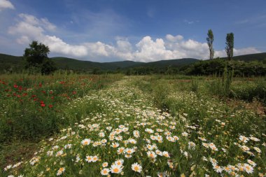 Gölyazı (Gölyaz) Bursa Türkiye