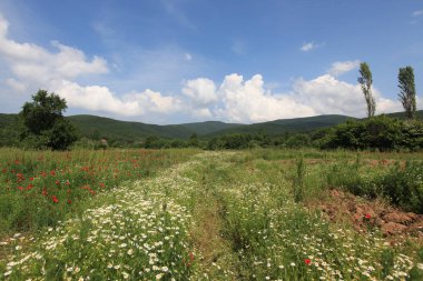 Gölyazı (Gölyaz) Bursa Türkiye