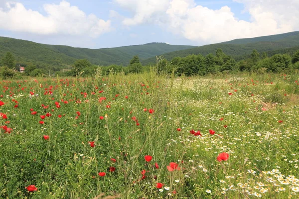 Golyazi Golyaz Bursa Turecko — Stock fotografie