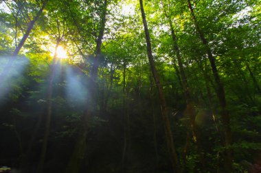 Sudusen Şelalesi ve Peyzajı / Bursa 