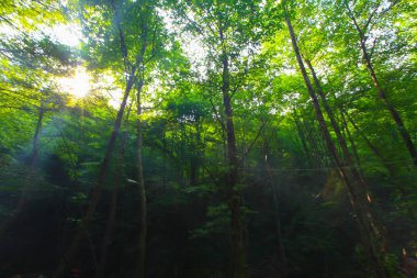 Sudusen Şelalesi ve Peyzajı / Bursa 