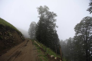Koçdz Yaylası ve Kaçkar Dağları