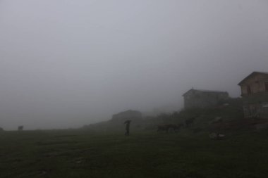 Koçdz Yaylası ve Kaçkar Dağları