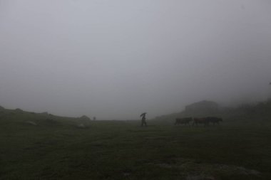 Koçdz Yaylası ve Kaçkar Dağları