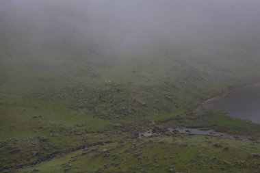 Koçdz Yaylası ve Kaçkar Dağları