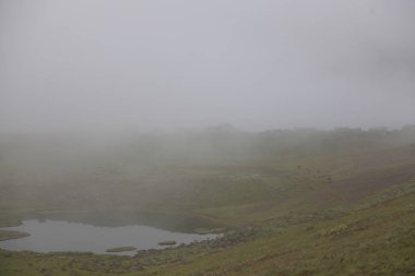 Koçdz Yaylası ve Kaçkar Dağları