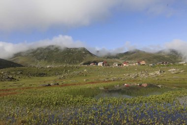 Koçdz Yaylası ve Kaçkar Dağları