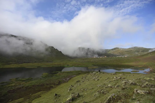 Plateau Kocdz Montagnes Kackar — Photo