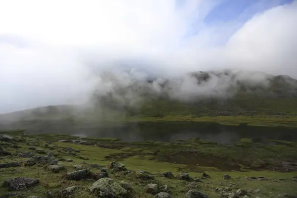 Koçdz Yaylası Kaçkar Dağları — Stok fotoğraf