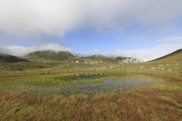 Plateau Kocdz Montagnes Kackar — Photo