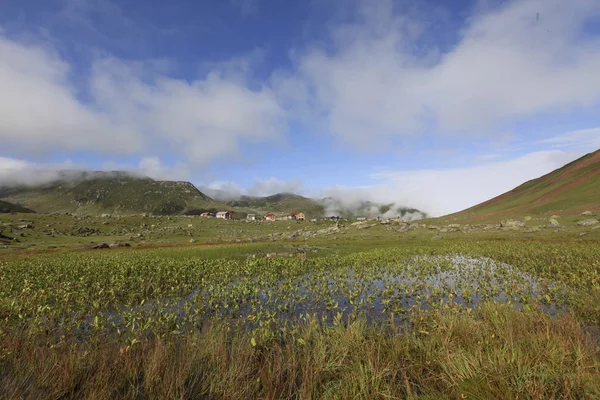 Plateau Kocdz Montagnes Kackar — Photo