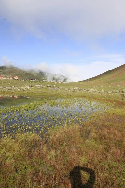 Plateau Kocdz Montagnes Kackar — Photo