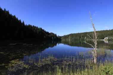 Turistler, yerliler, kampçılar ve Doğu Karadeniz, Savsat, Artvin, Türkiye'de seyahat etmek için popüler bir hedef Karagol (siyah göl) görünümünü manzara