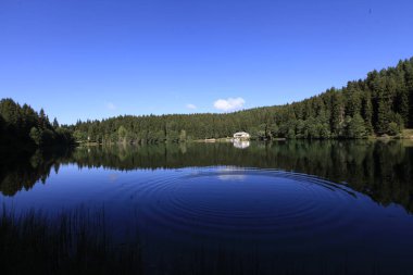 Turistler, yerliler, kampçılar ve Doğu Karadeniz, Savsat, Artvin, Türkiye'de seyahat etmek için popüler bir hedef Karagol (siyah göl) görünümünü manzara