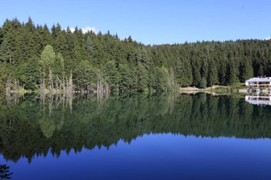Karadeniz bölgesindeki Savsat Karagöl Tabiat Parkı'nın manzara görünümü, Artvin, Türkiye