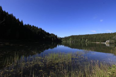 Karadeniz bölgesindeki Savsat Karagöl Tabiat Parkı'nın manzara görünümü, Artvin, Türkiye