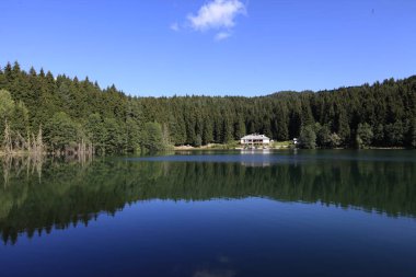 Karadeniz bölgesindeki Savsat Karagöl Tabiat Parkı'nın manzara görünümü, Artvin, Türkiye