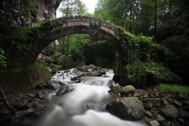 Türkiye'de Yayla Kaçkar