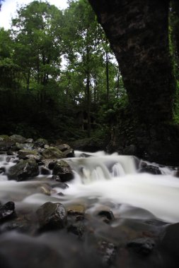 Türkiye'de Yayla Kaçkar