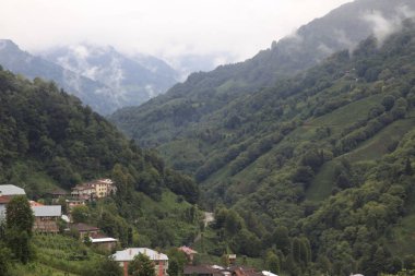 Türkiye'de Yayla Kaçkar