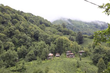 Türkiye'de Yayla Kaçkar