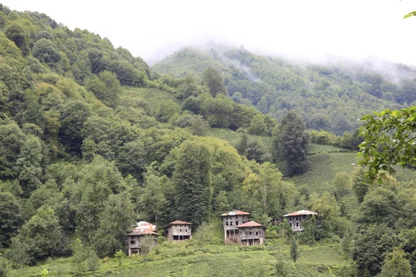 Plateau Kackar Der Türkei — Stockfoto