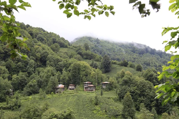 Türkiye Yayla Kaçkar — Stok fotoğraf