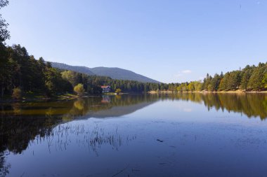 Bolu Gölcük Milli Parkı'nda orman içi ahşap göl evi, Bolu, Türkiye