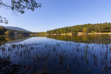 Bolu Gölcük Milli Parkı'nda orman içi ahşap göl evi, Bolu, Türkiye
