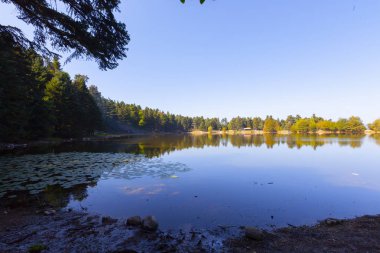 Bolu Gölcük Milli Parkı'nda orman içi ahşap göl evi, Bolu, Türkiye
