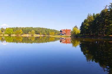 Bolu Gölcük Milli Parkı'nda orman içi ahşap göl evi, Bolu, Türkiye