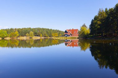 Bolu Gölcük Milli Parkı'nda orman içi ahşap göl evi, Bolu, Türkiye