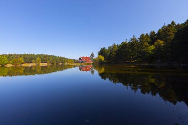 Bolu Gölcük Milli Parkı'nda orman içi ahşap göl evi, Bolu, Türkiye